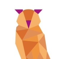 Volksuniversiteit Hengelo e.o. logo - Similar company to Beesmart Ict Solutions