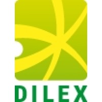 TIME CAPITAL LTD (DILEX GROUP) logo - Similar company to Ukrainian Energy Freedom Coalition