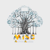 Misc Archive logo - Similar company to Prismatic Soft