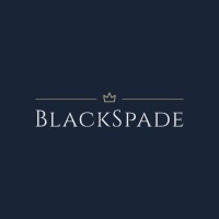 BlackSpade LLC logo - Similar company to Ctl Transportation, Llc