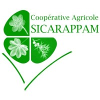 SICARAPPAM logo - Similar company to Safety Shoes