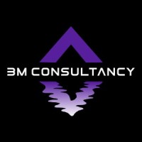 3M Consultancy logo - Similar company to S M Engineering