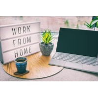 Remote Work Opportunities logo - Similar company to Novate Solutions Limited