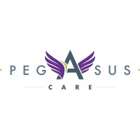 Pegasus Care logo - Similar company to Wealthbuilders Together