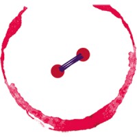 Sarti del Gusto logo - Similar company to Sablab Srl