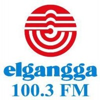 PT. Radio Elgangga 100.3 FM logo - Similar company to Brandinc.