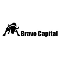 BRAVO CAPITAL logo - Similar company to Bravo Capital
