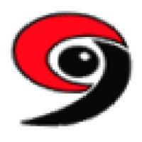 Canyon Semiconductor logo - Similar company to Goodwork Semiconductor Co., Ltd.