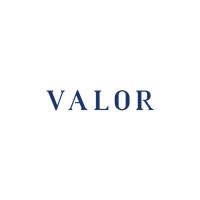 VALOR Partners Oy logo - Similar company to Reddal