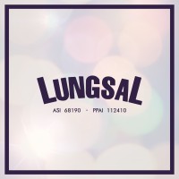 Lungsal logo - Similar company to Promo Ad