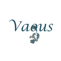 VAGUS logo - Similar company to Reghero