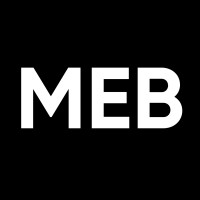 MEB Intelligence logo - Similar company to Feelings