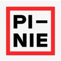 PI-NIE logo - Similar company to Tech Cluster Zug Ag