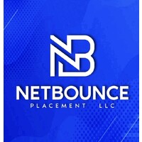 NetBounce Placement logo - Similar company to Dash Technologies Inc.