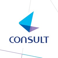 Consult-KSA logo - Similar company to Arab Dreams