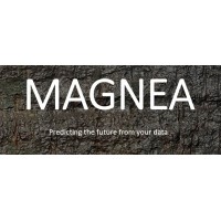 Magnea logo - Similar company to Limepark