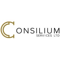 Consilium Services Ltd logo - Similar company to Lv Group