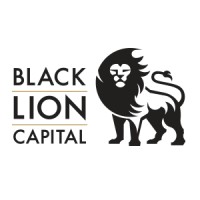 Black Lion Capital Corp. logo - Similar company to Sky Global