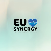 EU Synergy logo - Similar company to Synergy Eu Project