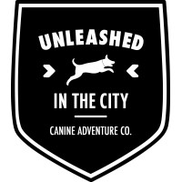 Unleashed In The City logo - Similar company to Compawnion