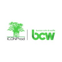ICONProd Africa logo - Similar company to Iconprod Africa