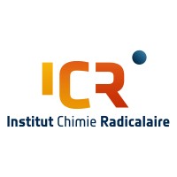 Institute of Radical Chemistry ICR logo - Similar company to Schadoc Doctoral Training Program