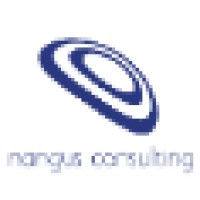 Nangus Consulting Ltd logo - Similar company to Lw3 Consulting