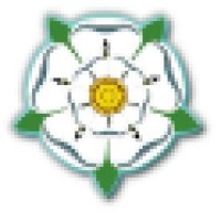 Holderness Consulting Llc