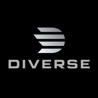 The Diverse Store logo - Similar company to Topifye