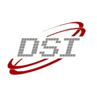 DSI Logistics Co.,Ltd. logo - Similar company to Flexible Bulk Shipping