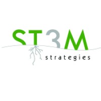 Stem Strategies logo - Similar company to Byte Link