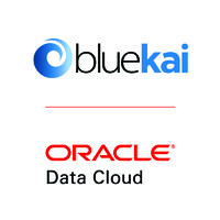 BlueKai logo - Similar company to Bluekei Solutions Pvt Ltd