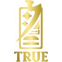 True Consulting logo - Similar company to Mediterranean University