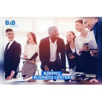 B2Bpro Group logo - Similar company to B2B Pro