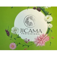 JICAMA PROFESSIONAL logo - Similar company to Ganpati Pharma