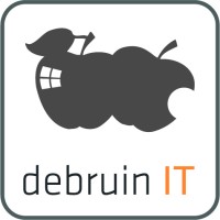 debruin IT logo - Similar company to Jbace Eventmanagement