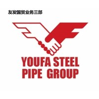 Tianjin Youfa Steel Pipe Group logo - Similar company to Ssem Metals