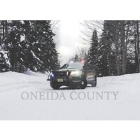Oneida County logo - Similar company to Impact Planning Group