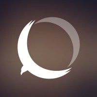Oden Business Intelligence logo - Similar company to Netsolution Ab