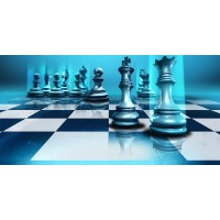 The Strategist logo - Similar company to Investimate