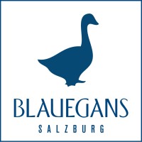 artHotel Blaue Gans logo - Similar company to Remsoft.Dev