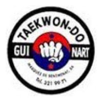 TaeKwonDo Guinart logo - Similar company to Ippongear