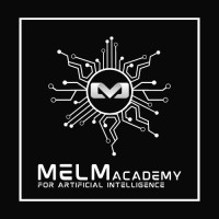 MELM Academy logo - Similar company to Isme Programme