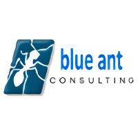 Blue Ant Consulting logo - Similar company to Target