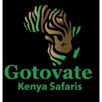 Gotovate International Kenya Ltd
