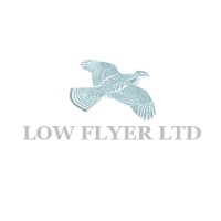 LOW FLYER LIMITED logo - Similar company to Openoverseas Property