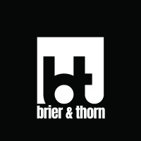 Brier & Thorn Mexico, S.A.P.I de C.V logo - Similar company to Tego Cyber