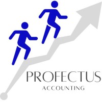 Profectus Accounting logo - Similar company to Imaintain