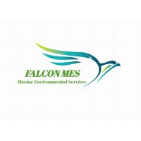 FALCON MES logo - Similar company to Pargeta