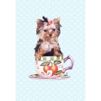 TeaCups, Puppies and Boutique logo - Similar company to Hebes By Chloe